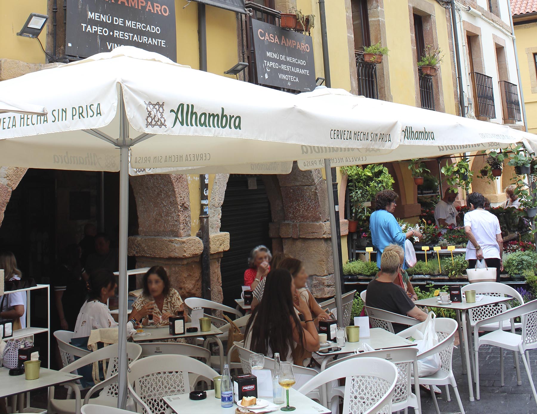 terraza-1